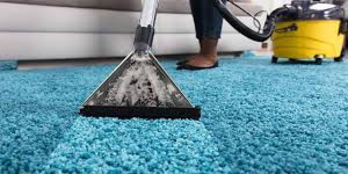 ﻿﻿Professional Carpet Cleaning: The Secret to a Healthier Home