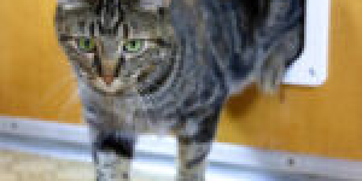 9 Lessons Your Parents Teach You About Economical Cat Flap Installer
