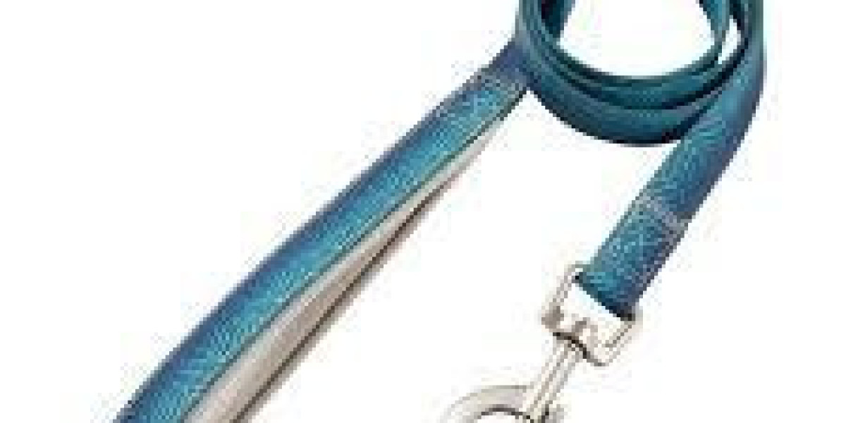 Crafting Comfort and Control for Pet Owners