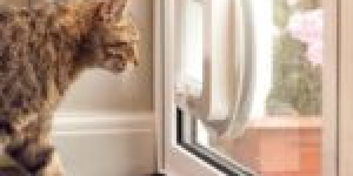 Five Things Everybody Does Wrong Concerning Cat Door Maintenance